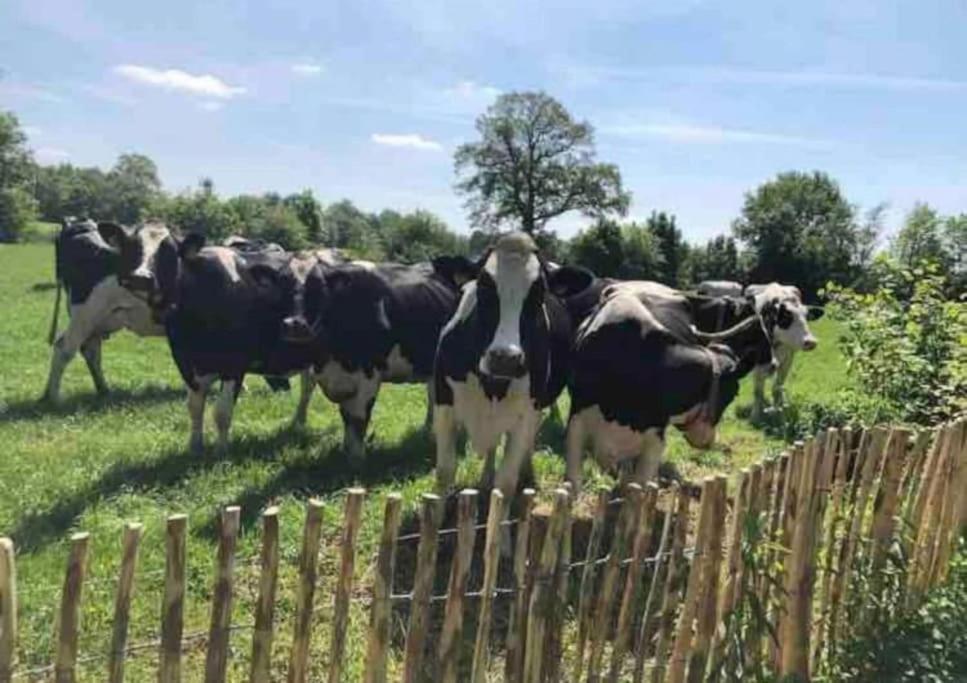 Statige Boerderijwoning Met Vrij Uitzicht En Tuin Villa Hoogzand Exteriör bild
